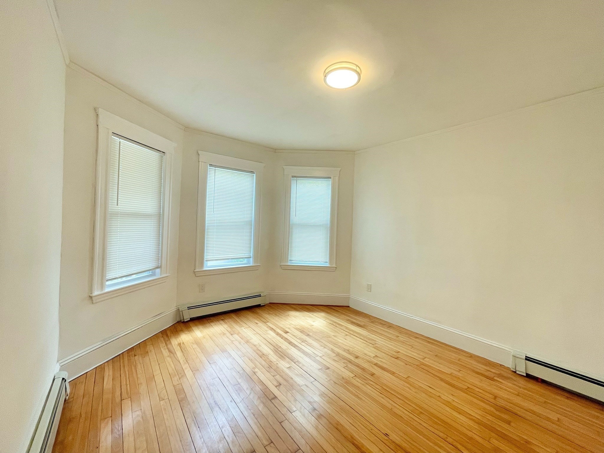 dorchester - #73397249