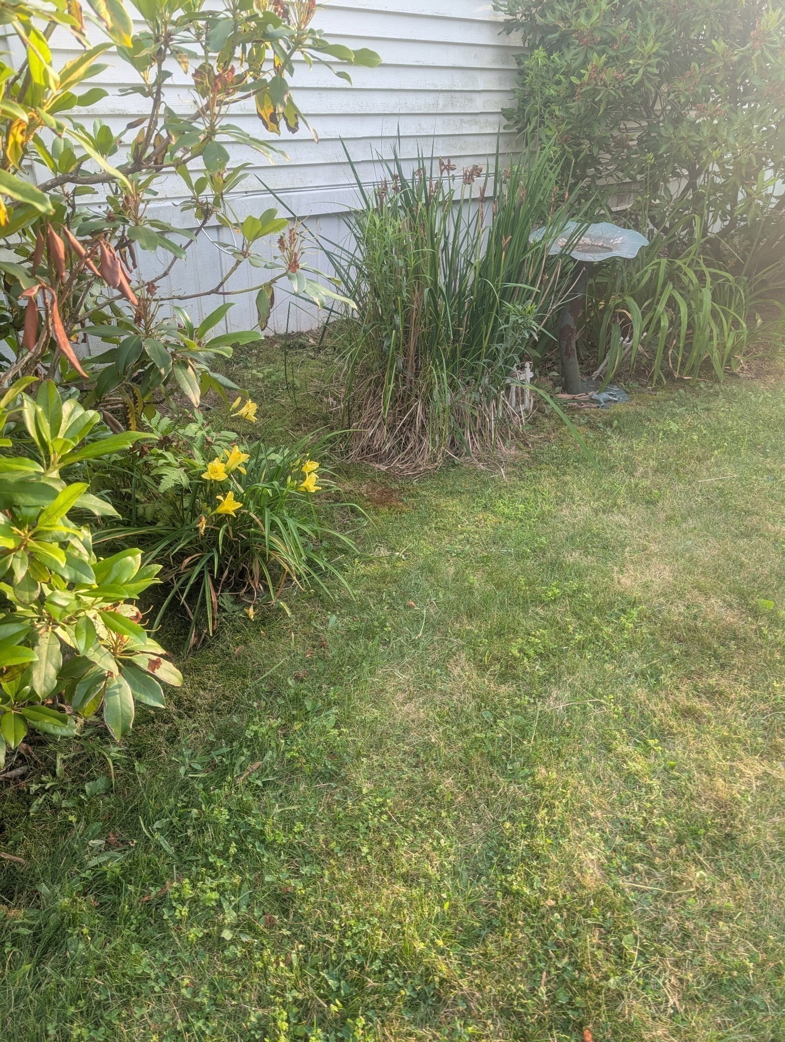 marlborough - #73397417