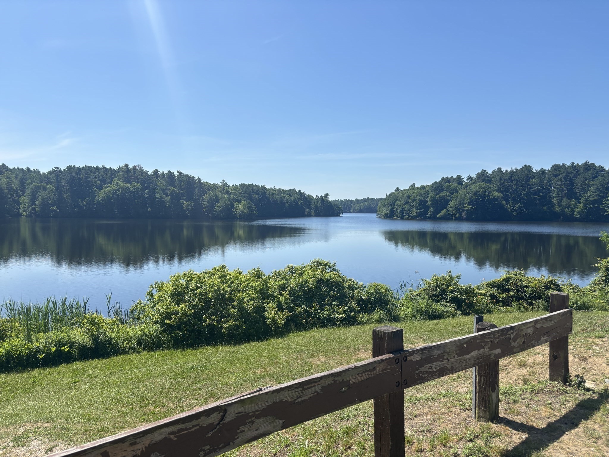 raynham - #73397423