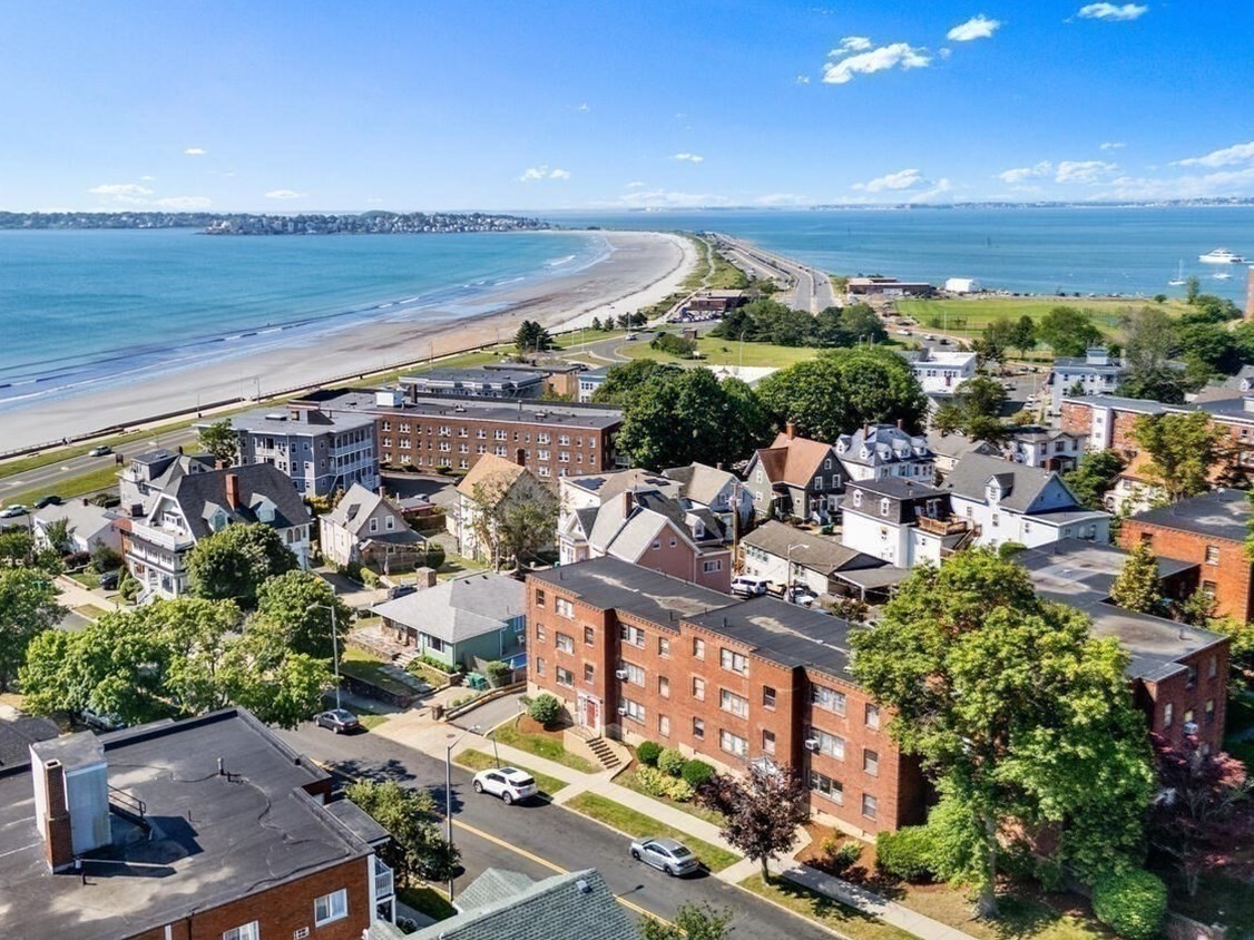 lynn - #73397463