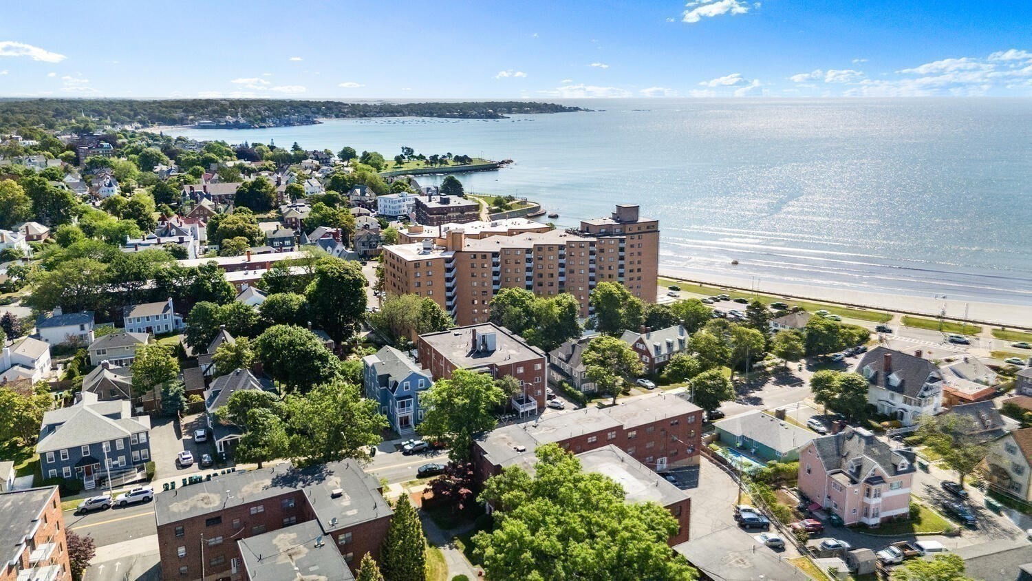 lynn - #73397463