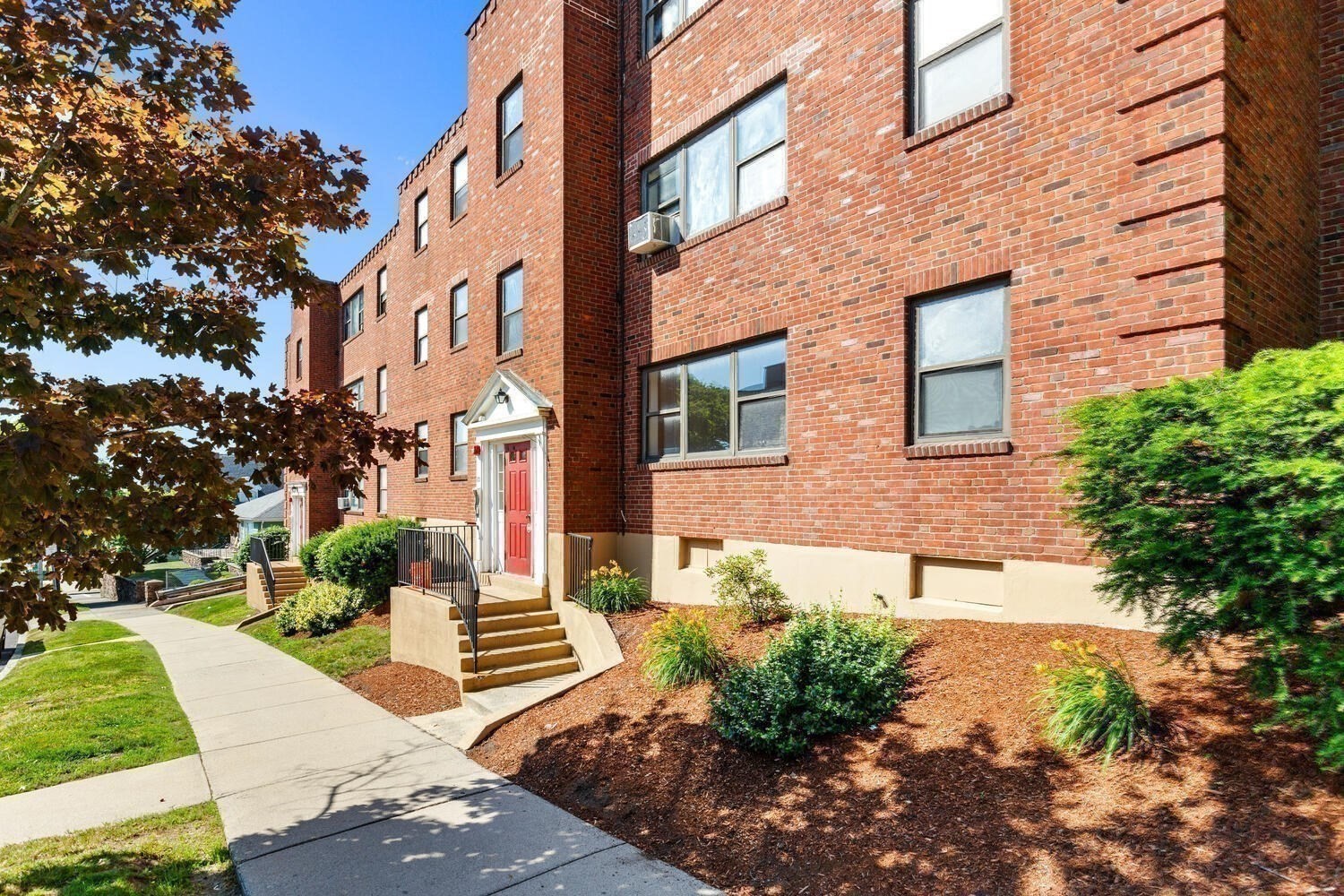 lynn - #73397463