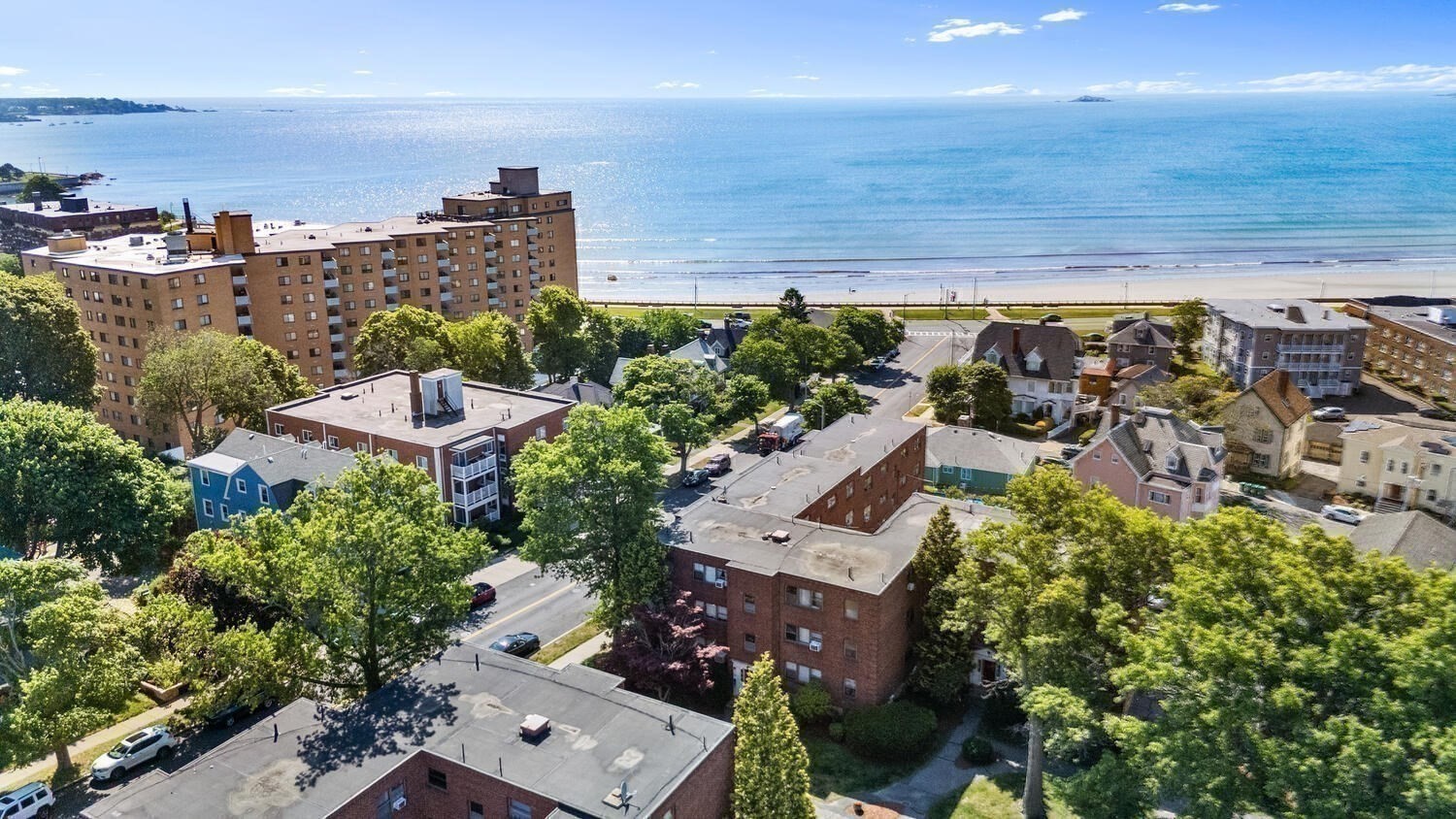 lynn - #73397463