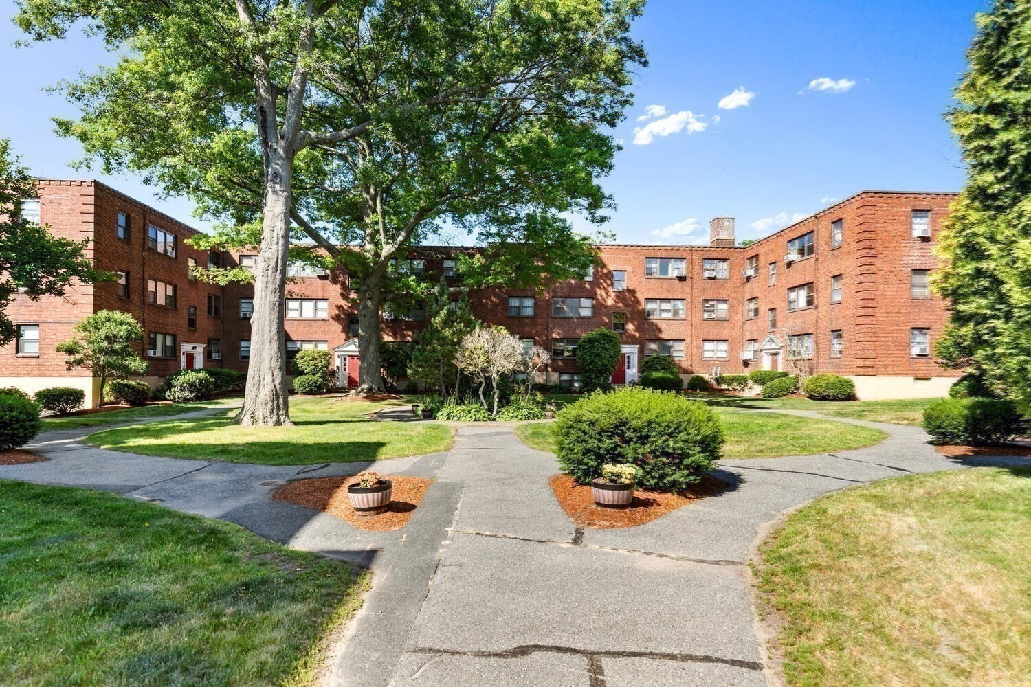 lynn - #73397463