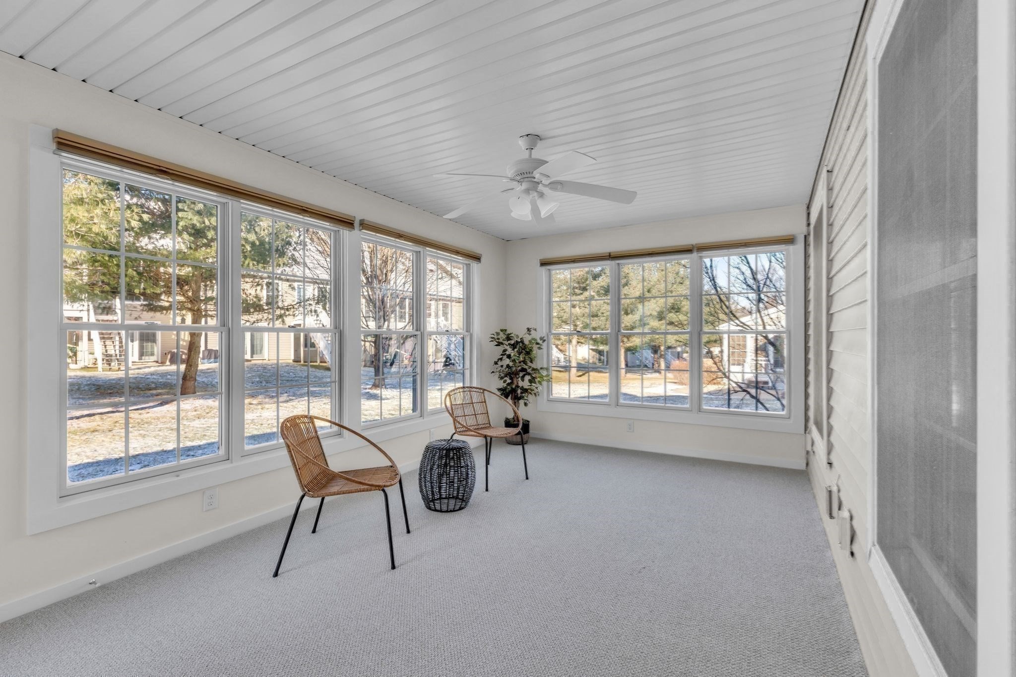 wilbraham - #73397613