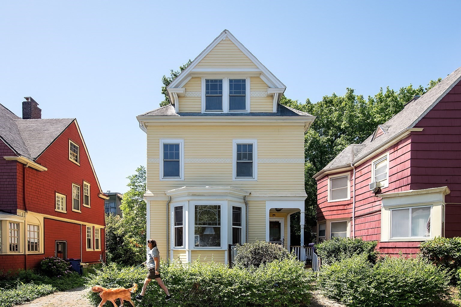 dorchester - #73398103