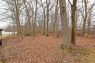 north-attleboro - #73398206