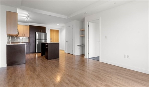 99 Kneeland St, Apt 1509