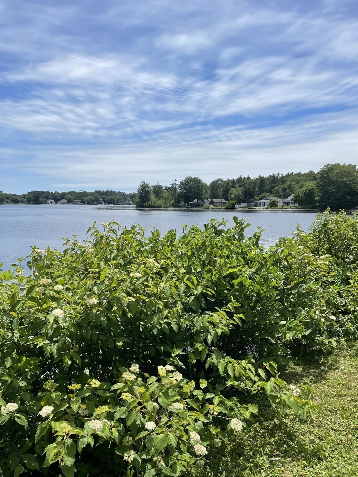 dartmouth - #73398525