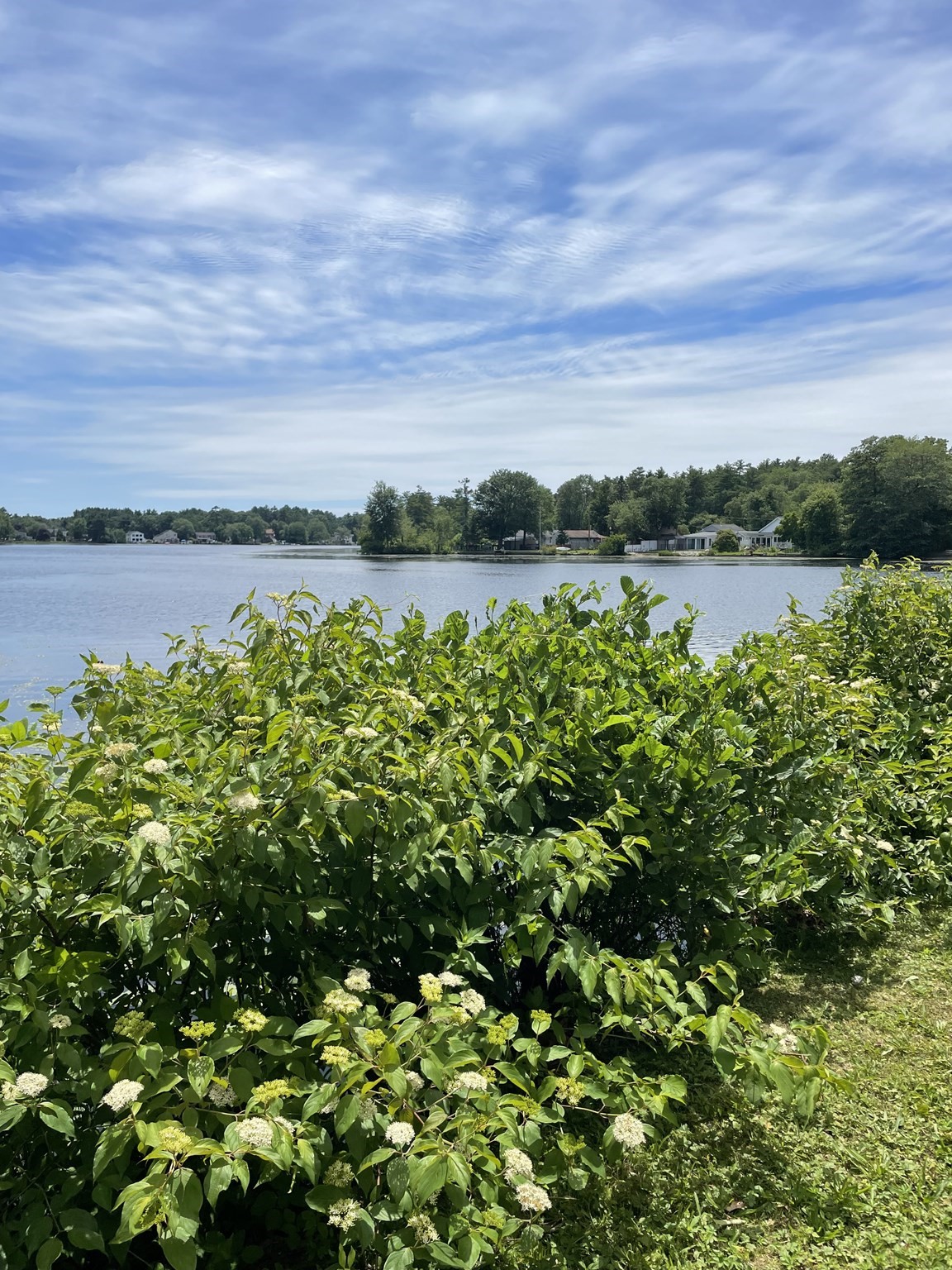 dartmouth - #73398530