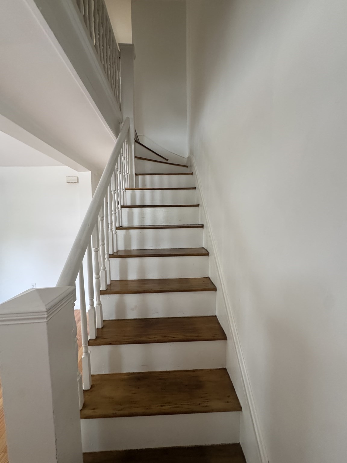dorchester - #73398592