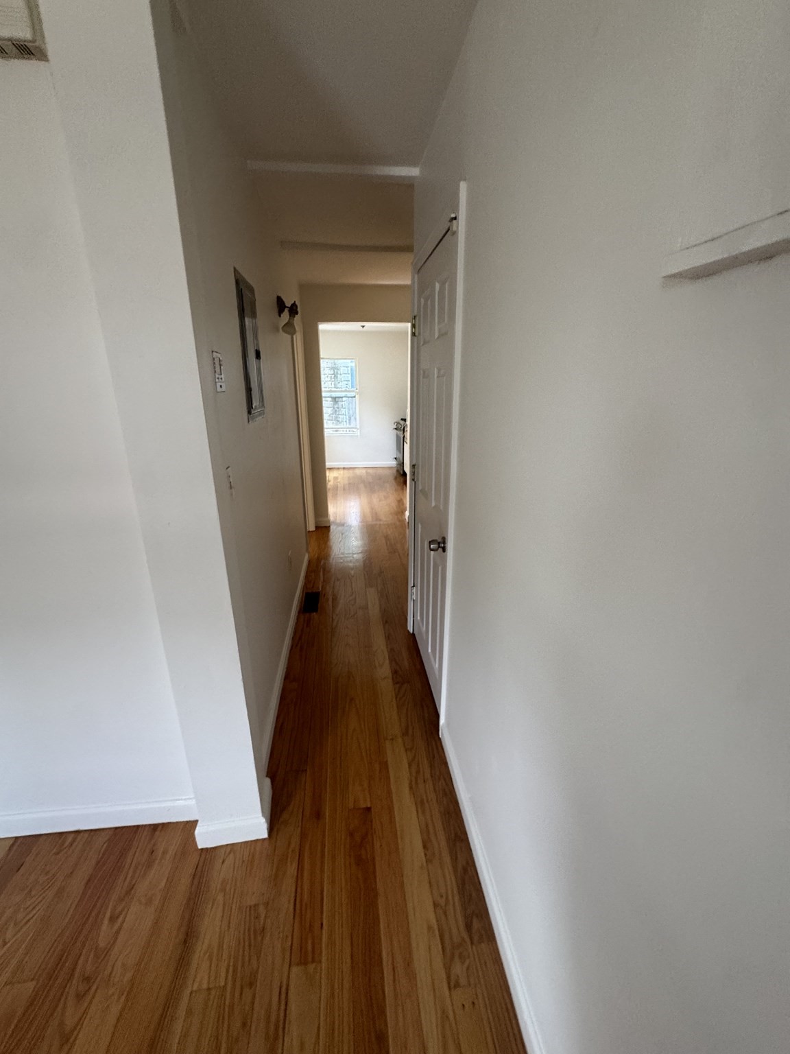 dorchester - #73398592
