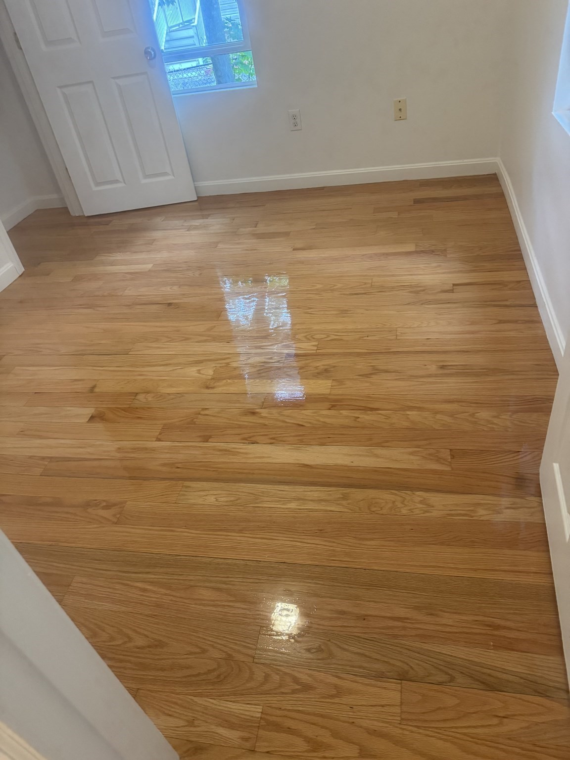 dorchester - #73398592