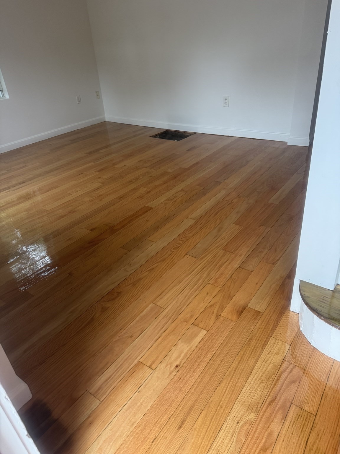 dorchester - #73398592