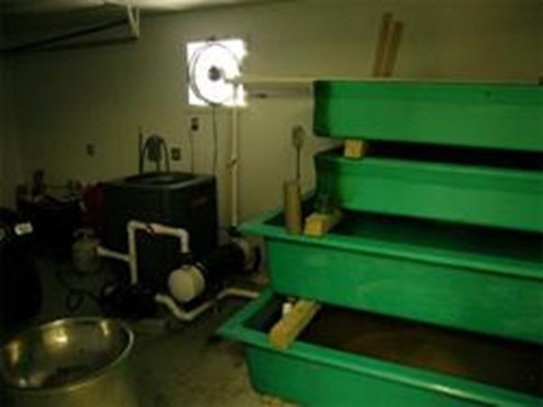 82 Wheelock Ave, Millbury, MA 01527 - Image 15