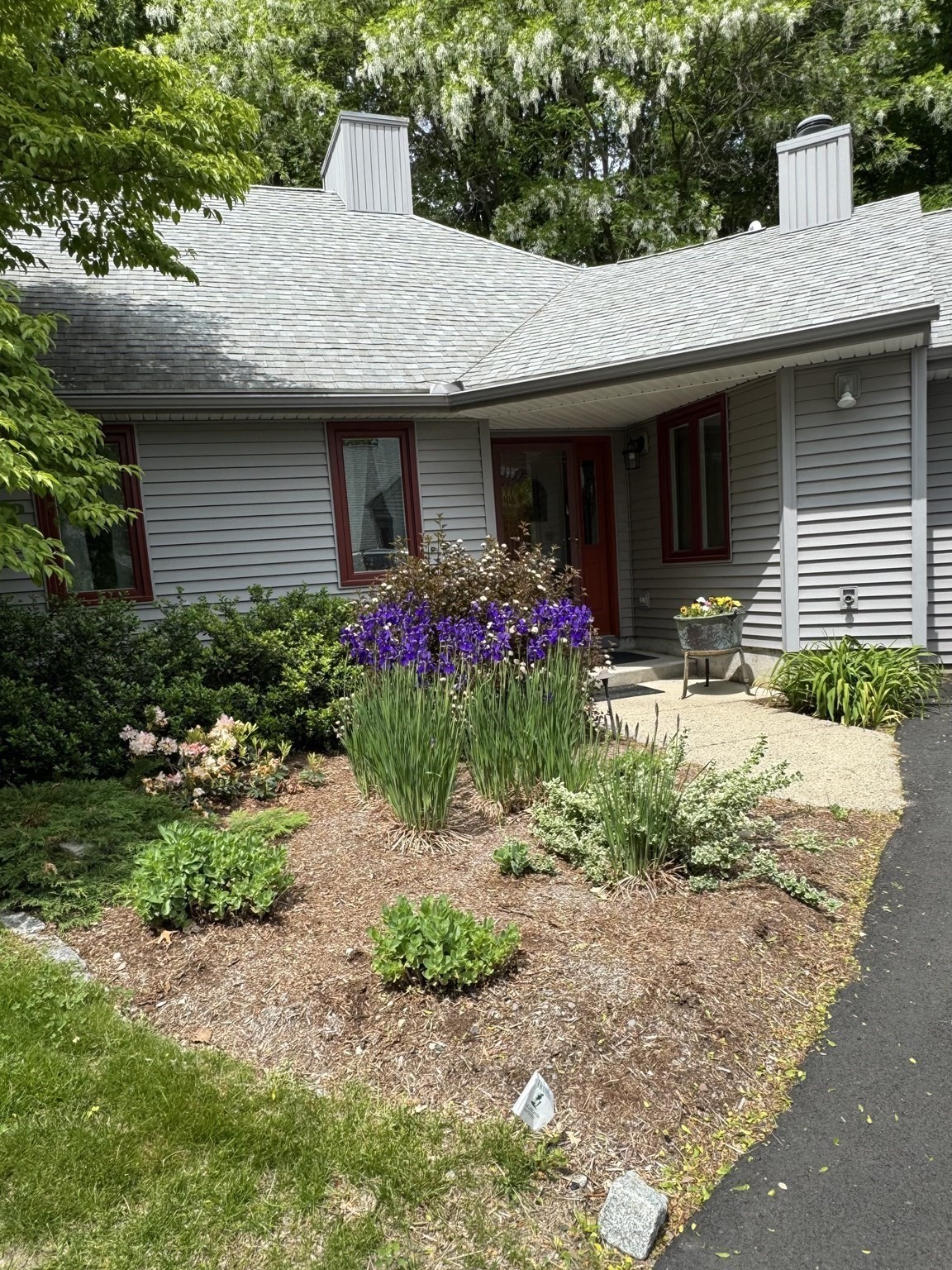amherst - #73398861