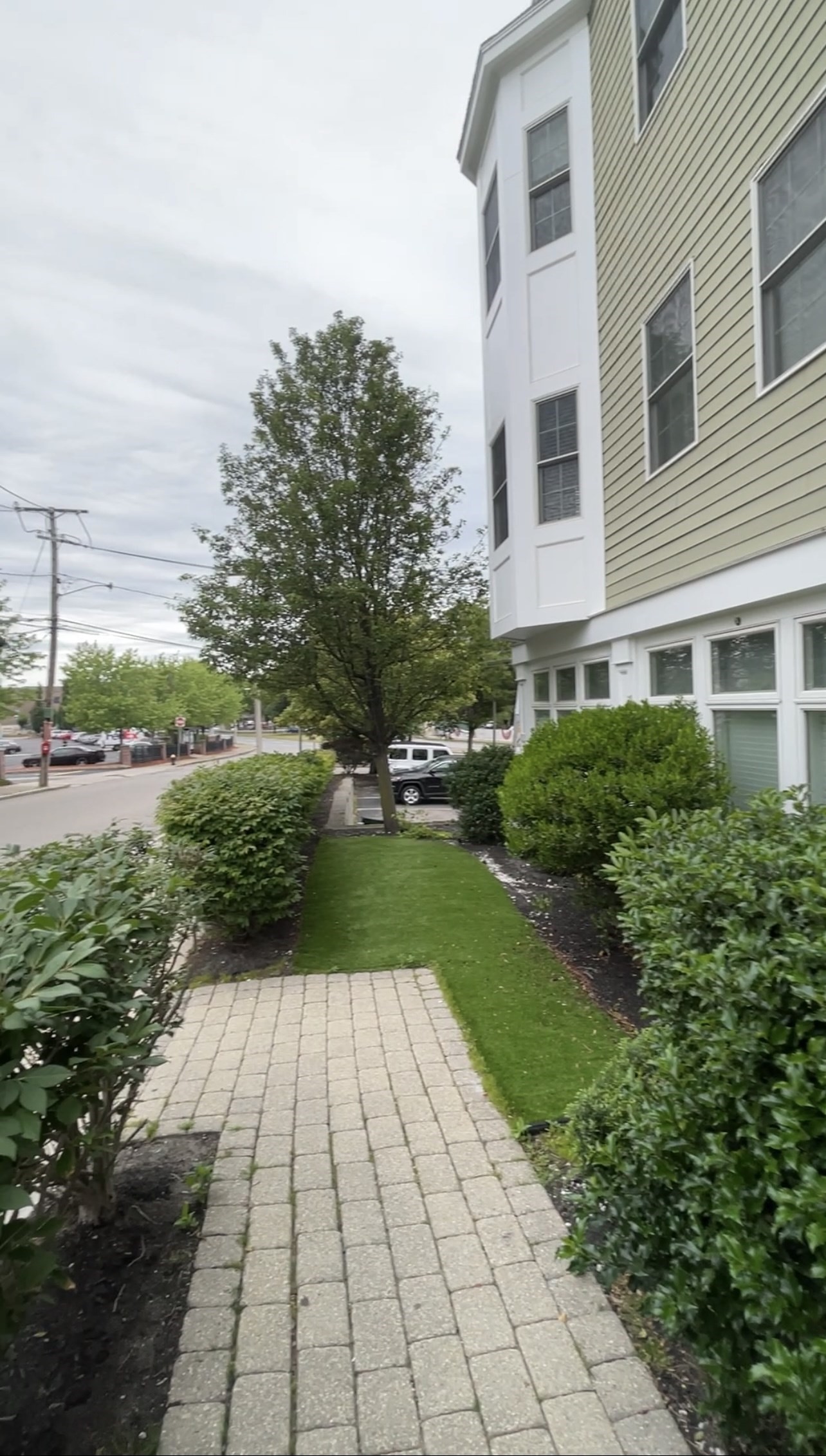 dorchester - #73398999