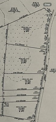 belchertown - #73399296