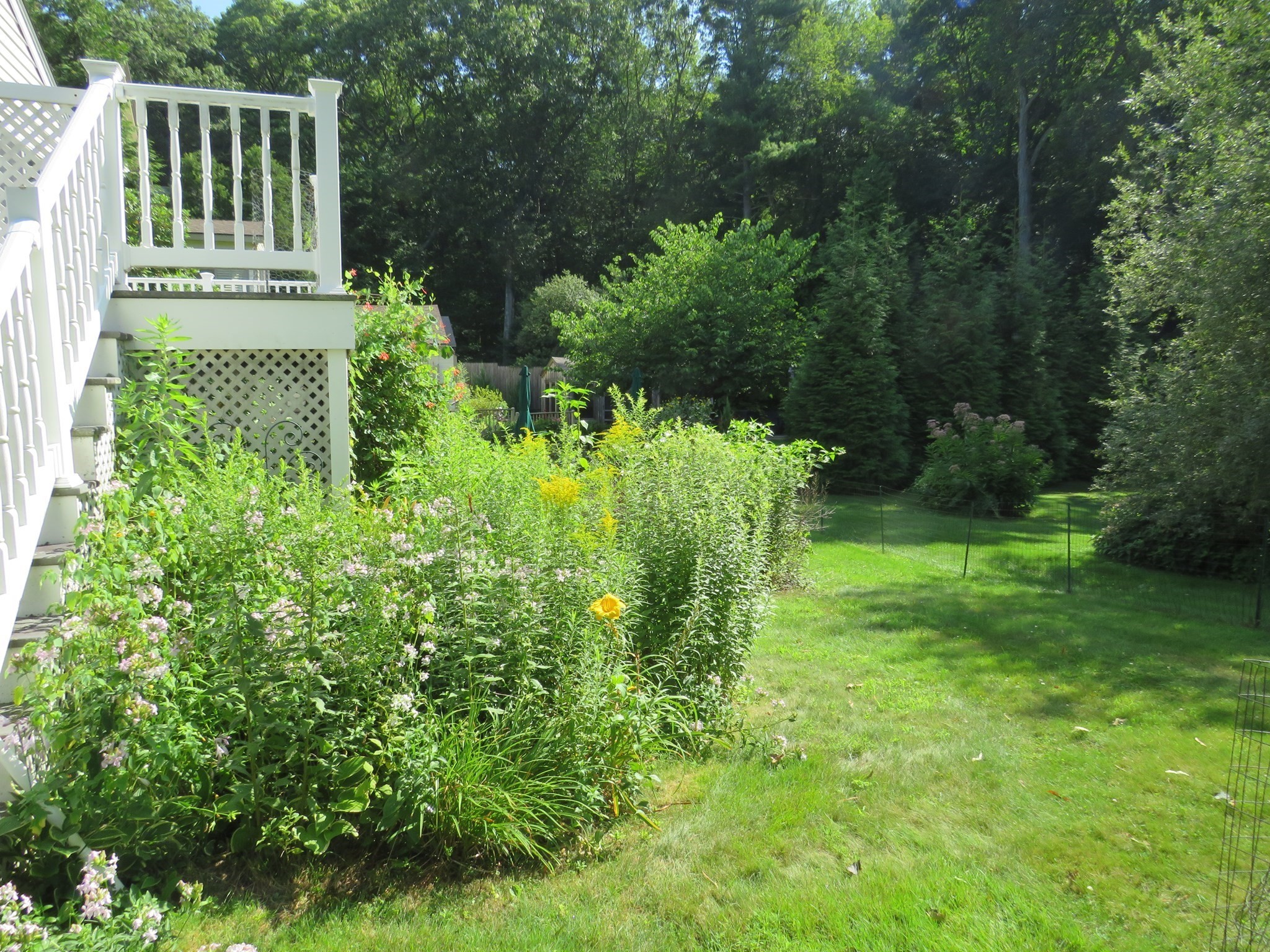 canton - #73399544