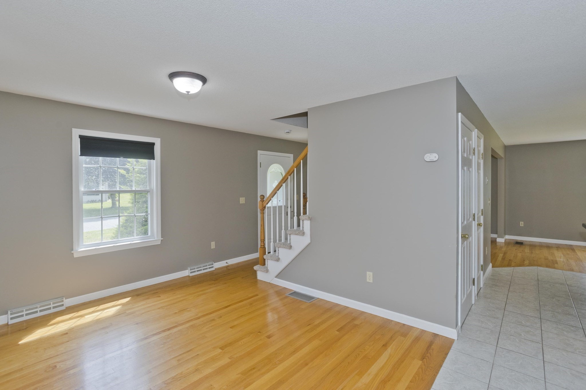 belchertown - #73399560