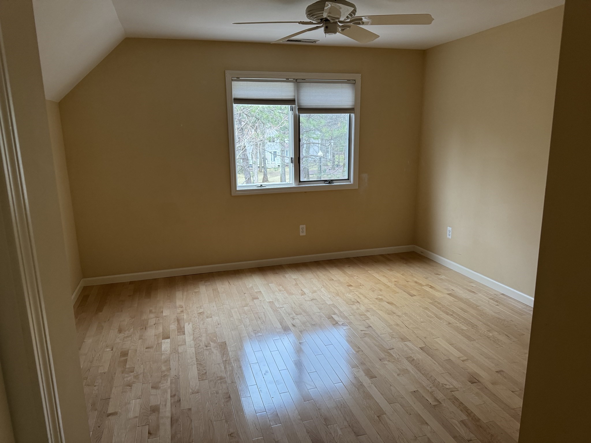 westborough - #73399830