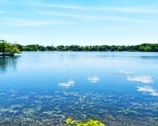 jamaica-plain - #73399850