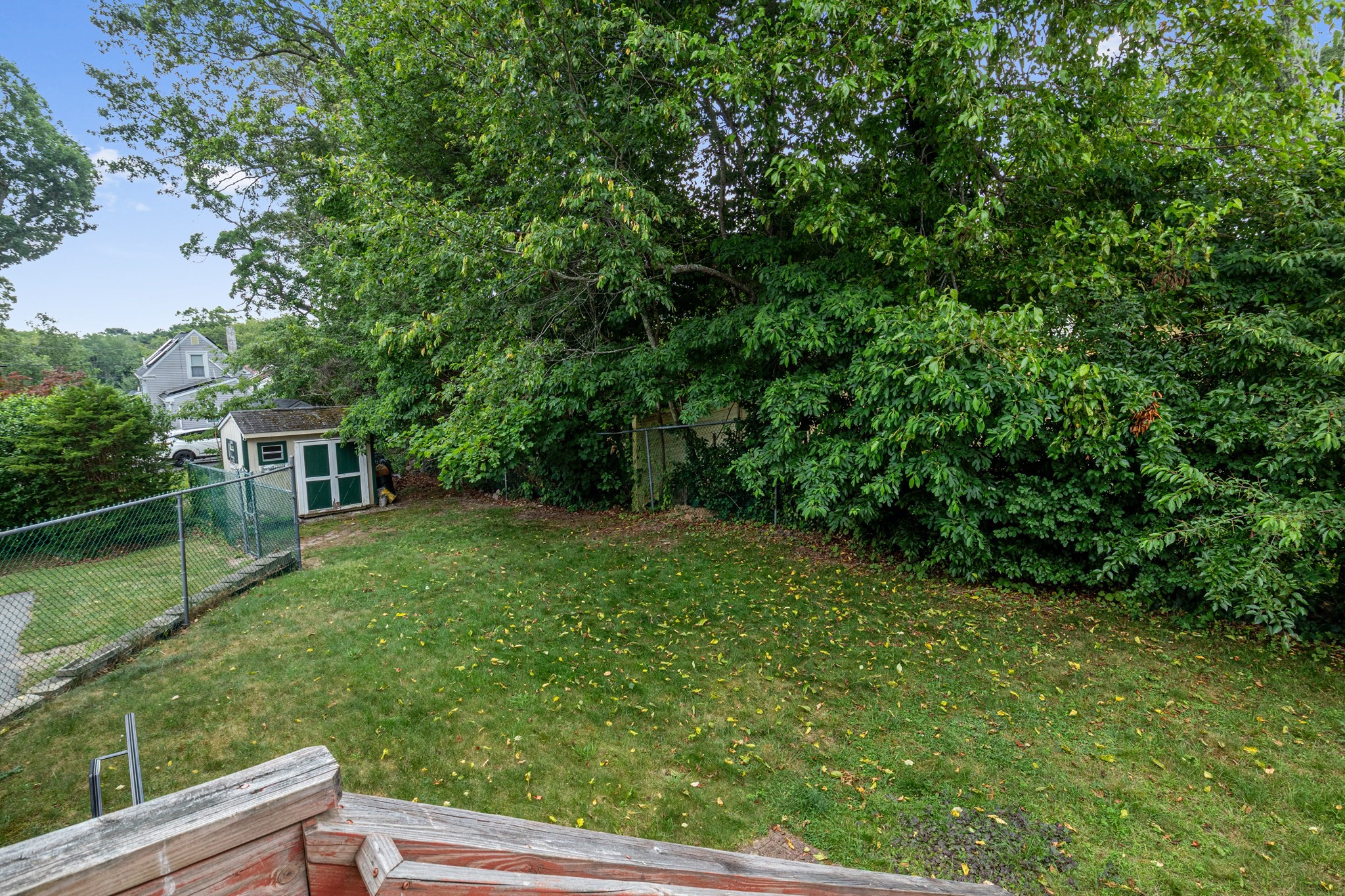randolph - #73400611