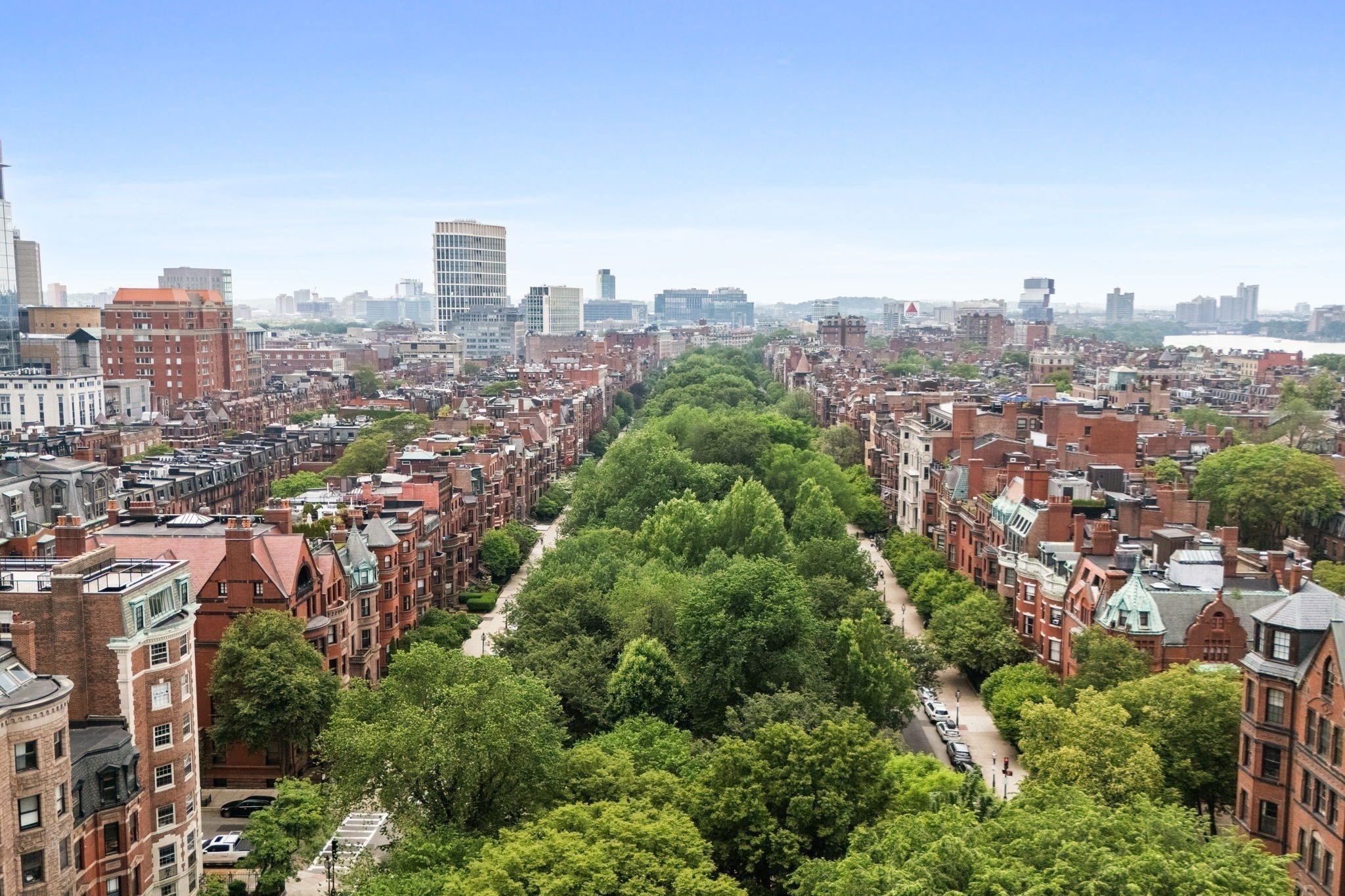 back-bay - #73400876