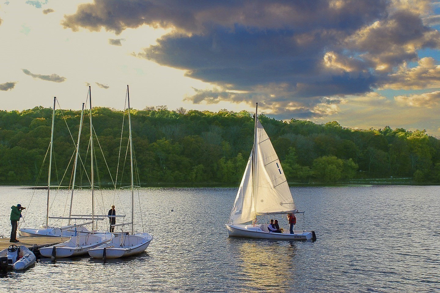 jamaica-plain - #73401122