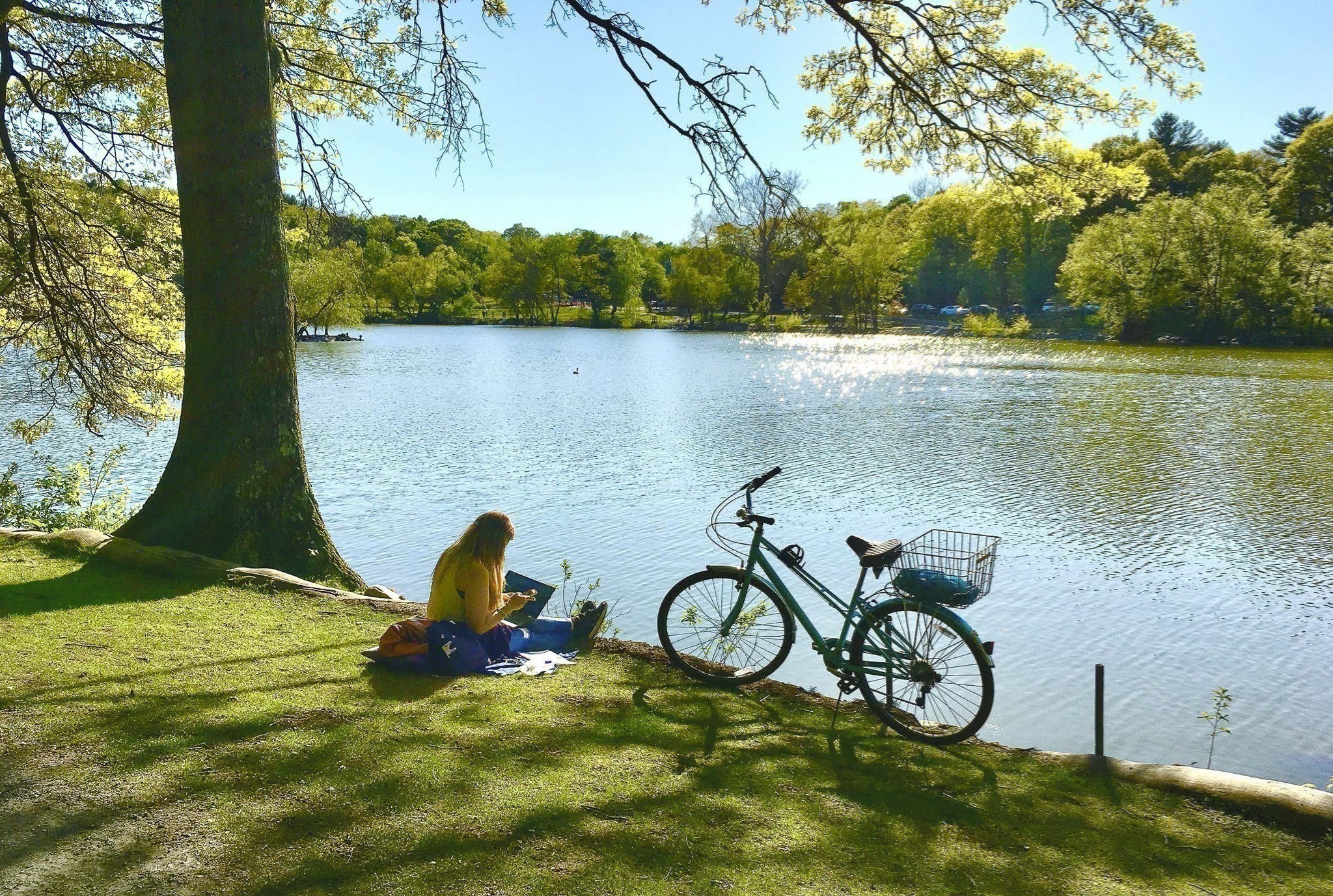 jamaica-plain - #73401122