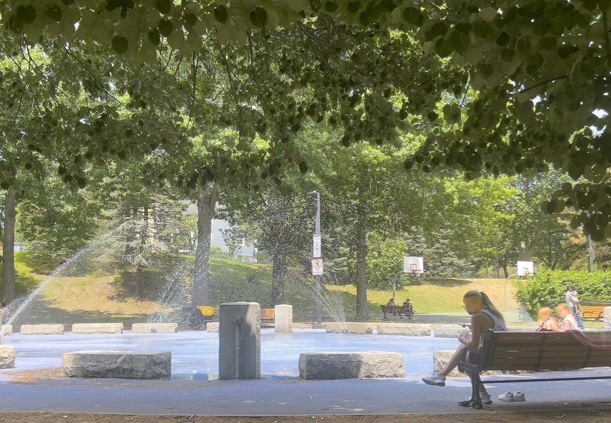 jamaica-plain - #73401122