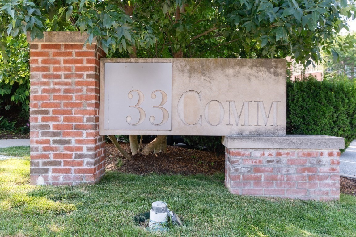 newton - #73401164