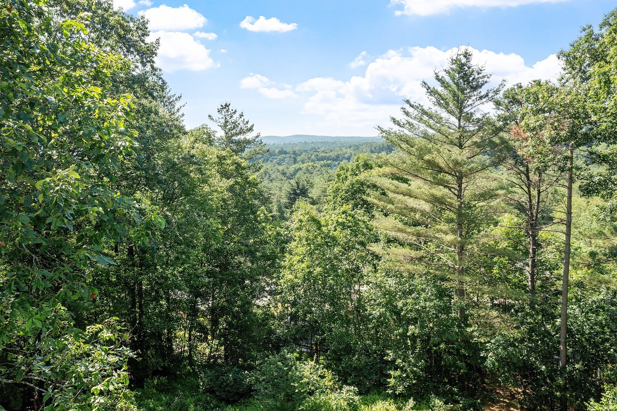 athol - #73401461