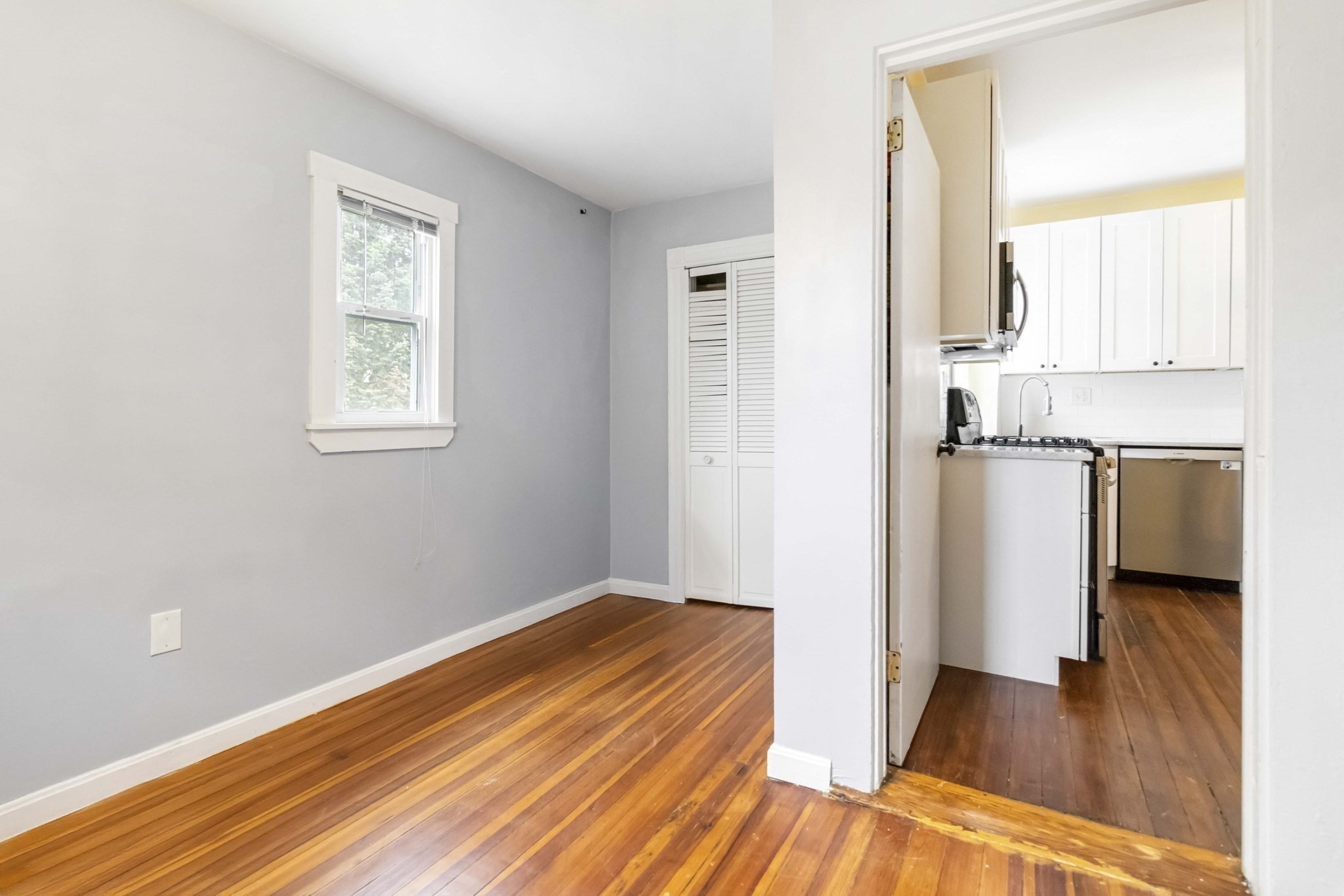 dorchester - #73401519