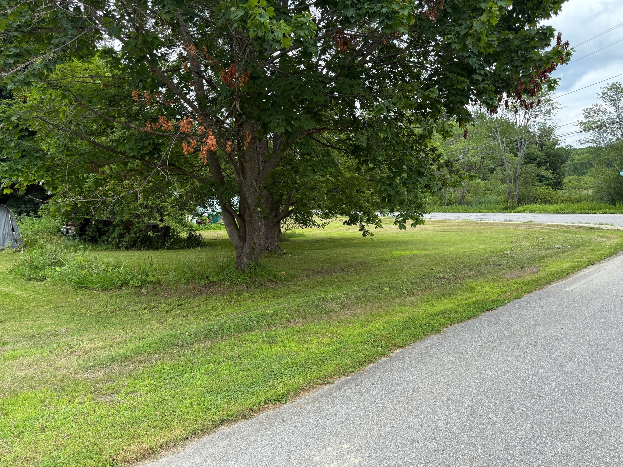 athol - #73401587
