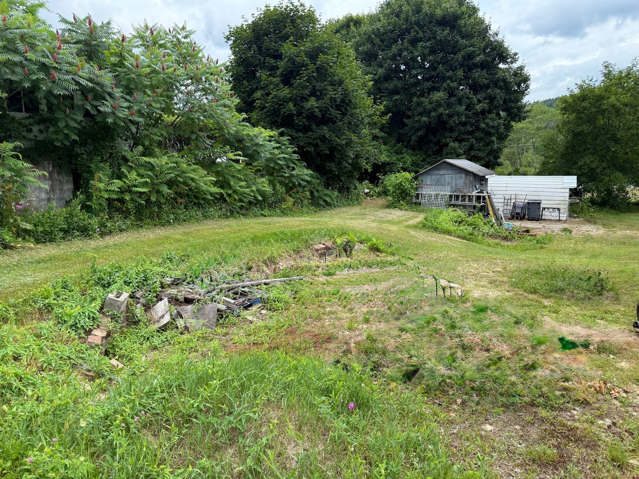 athol - #73401587