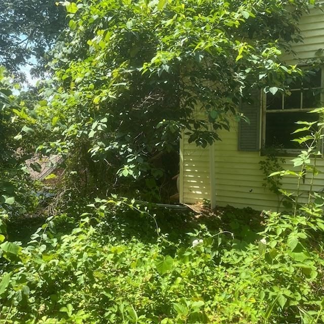 pembroke - #73401745