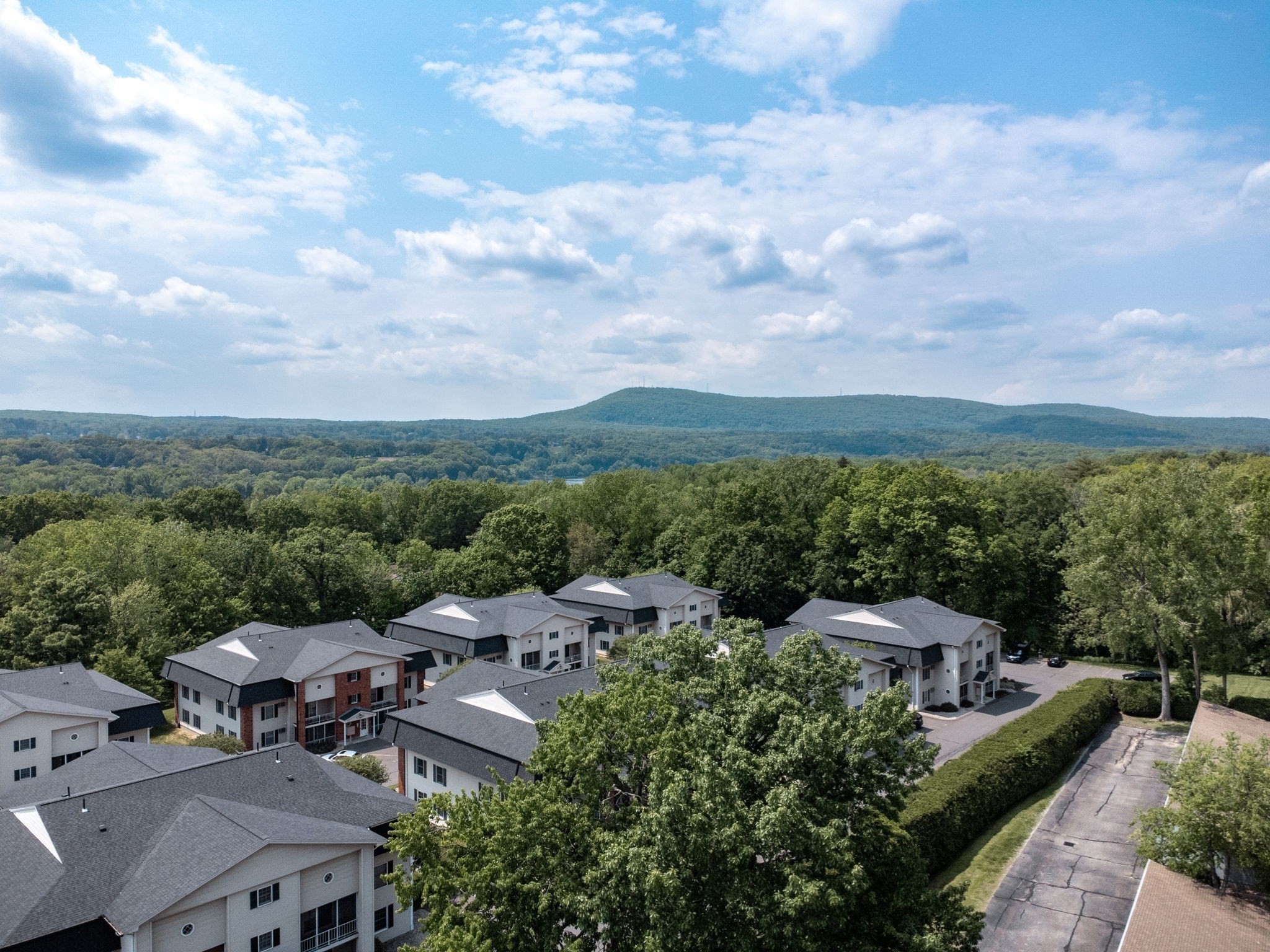 south-hadley - #73401848