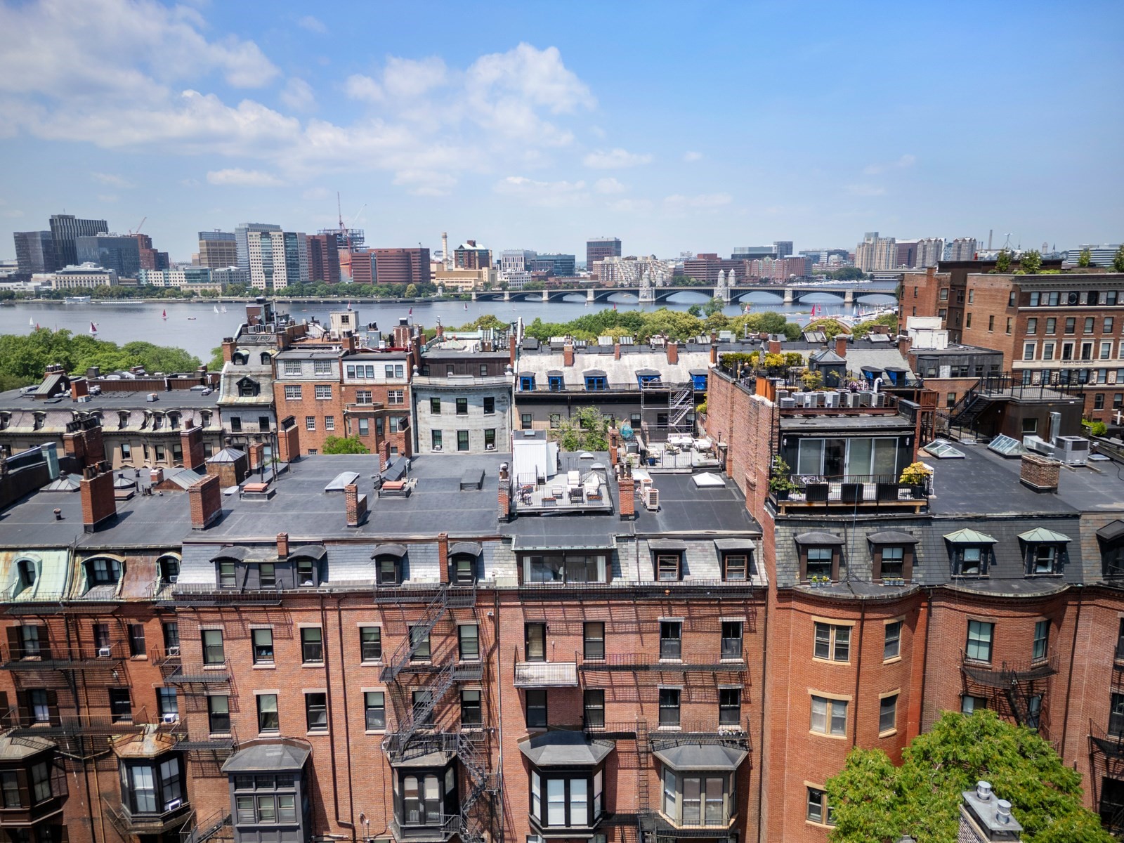 back-bay - #73401993