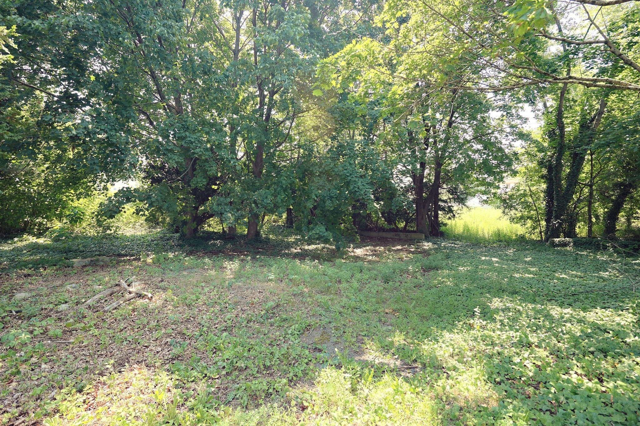 randolph - #73402161