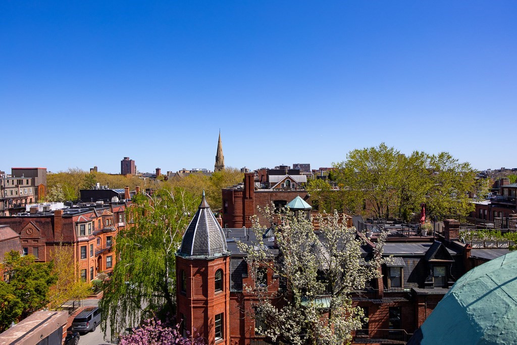back-bay - #73402452