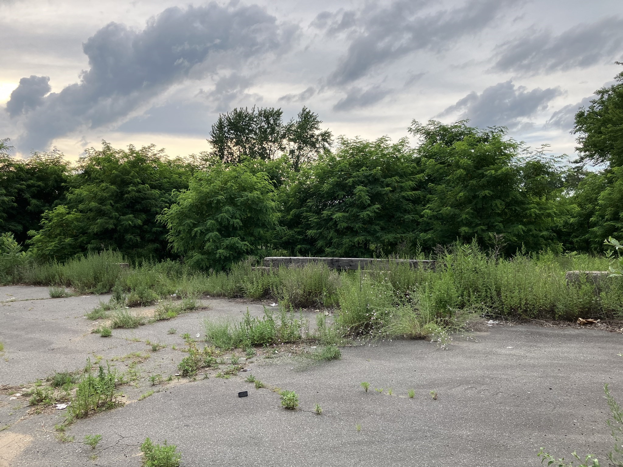 agawam - #73402508