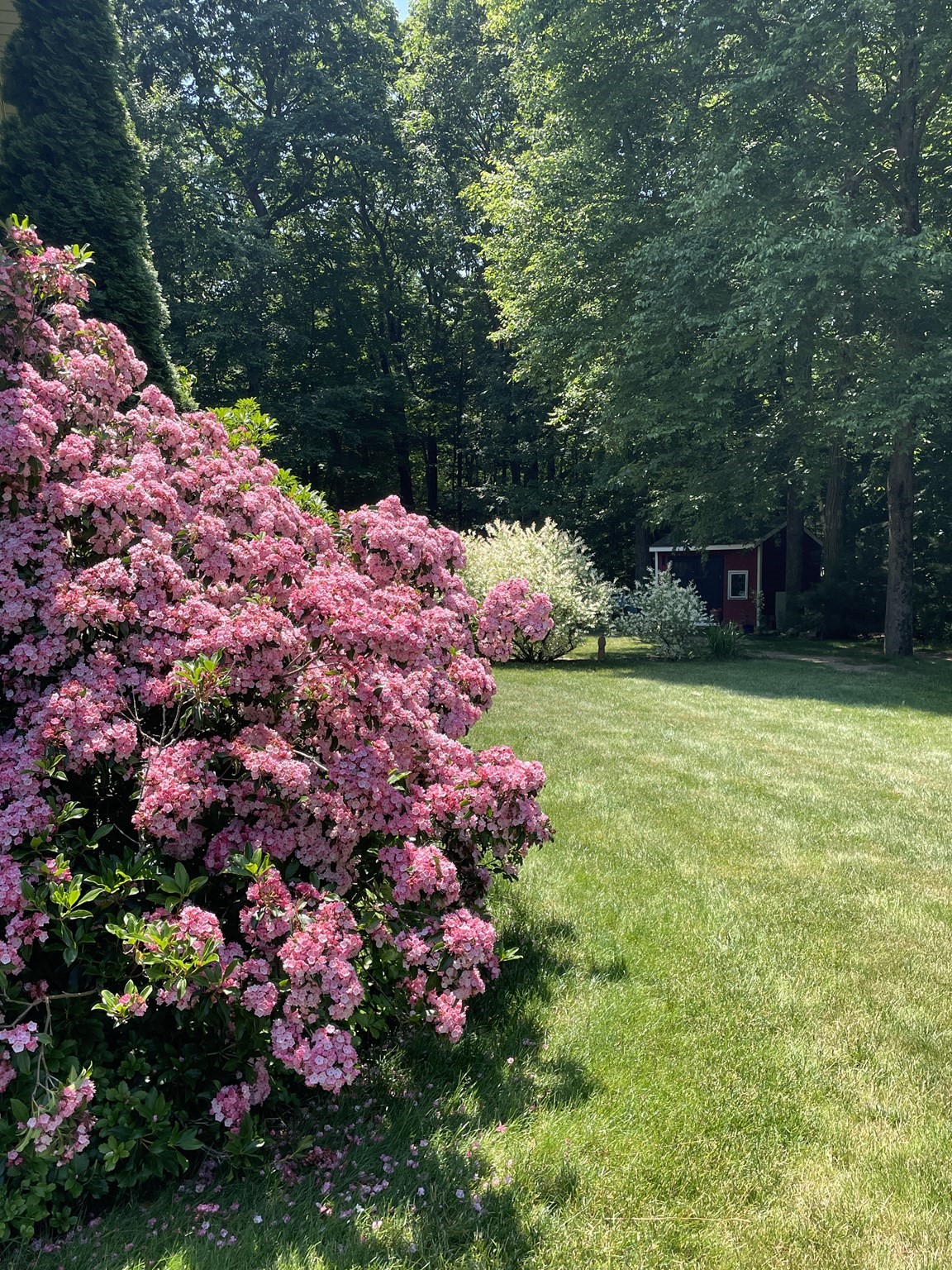 belchertown - #73403161