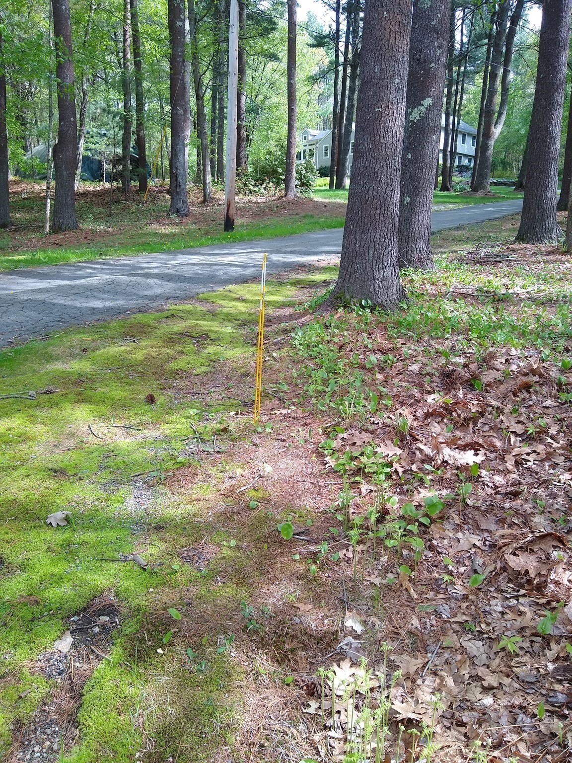 534 Ipswich Road, Boxford, MA 01921 - Image 2