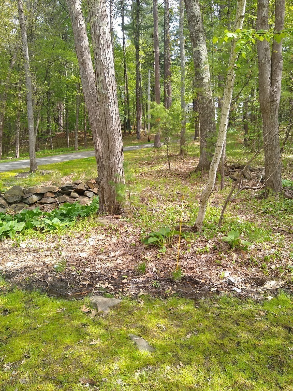 534 Ipswich Road, Boxford, MA 01921 - Image 4