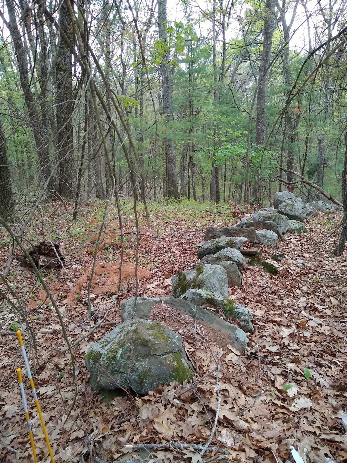 534 Ipswich Road, Boxford, MA 01921 - Image 6