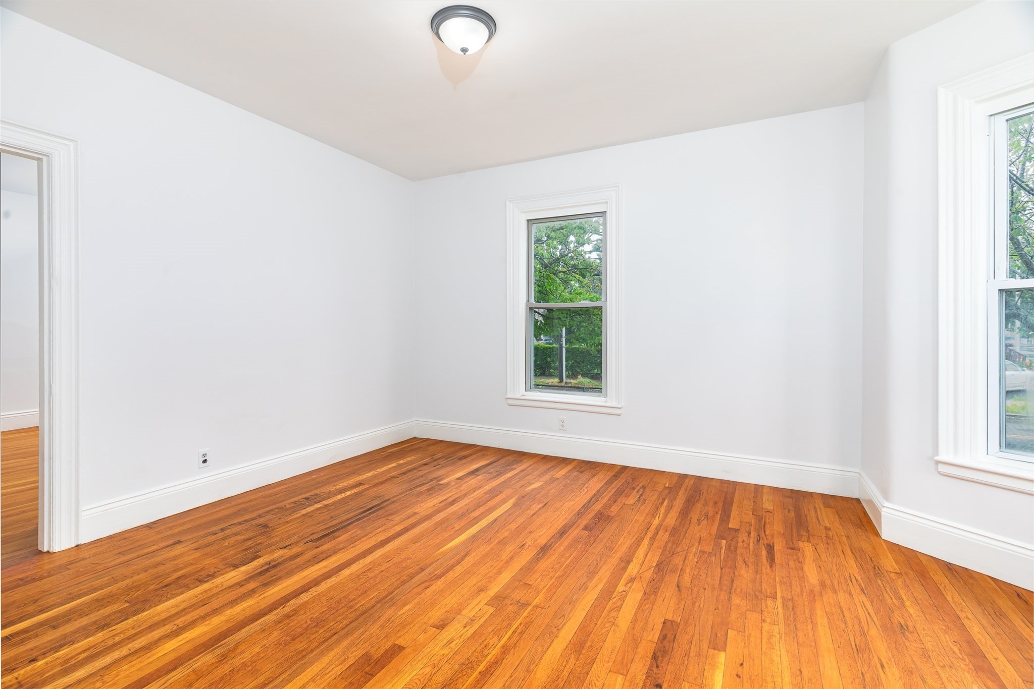 lynn - #73403758