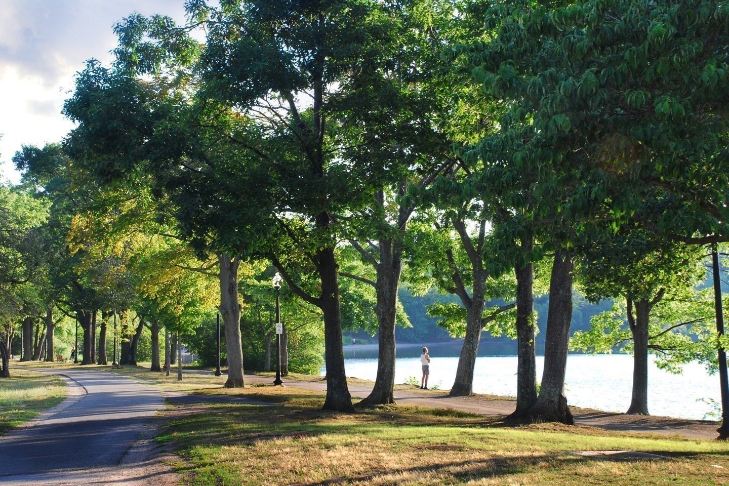17 Myrtle, Jamaica Plain, Boston, MA 02130
