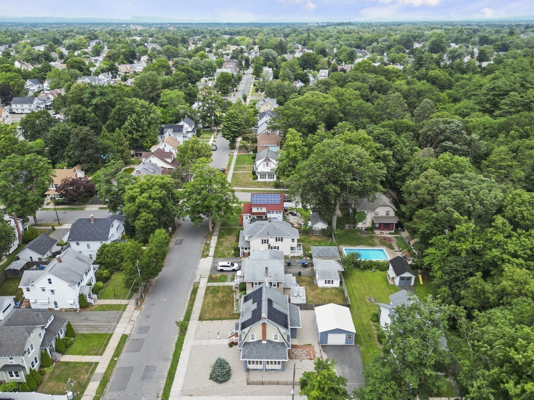 springfield - #73404020