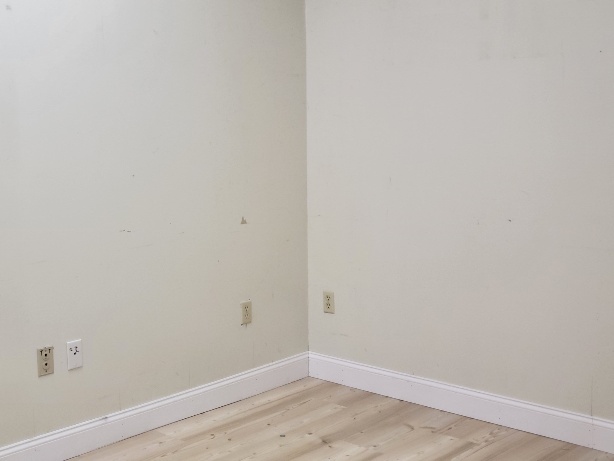 saugus - #73404084